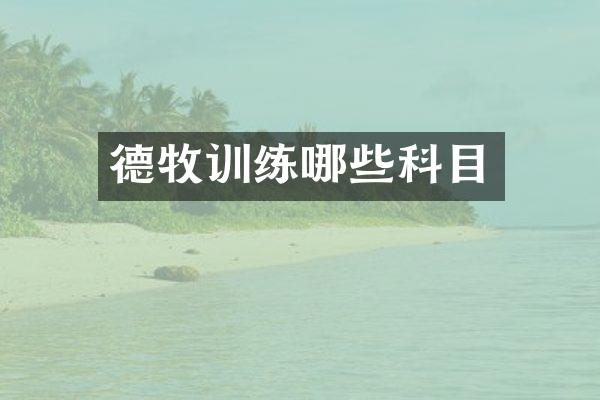 德牧训练哪些科目