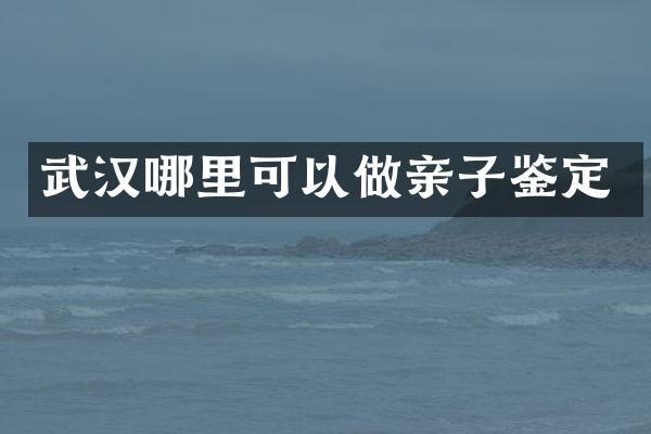 武汉哪里可以做亲子鉴定