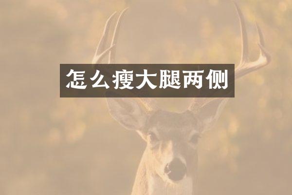 怎么瘦大腿两侧