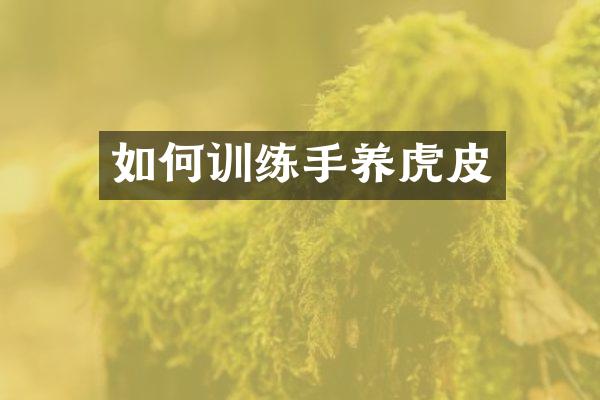如何训练手养虎皮
