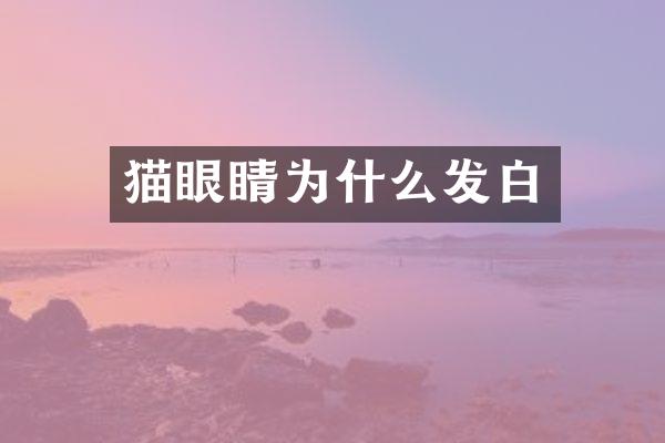 猫眼睛为什么发白