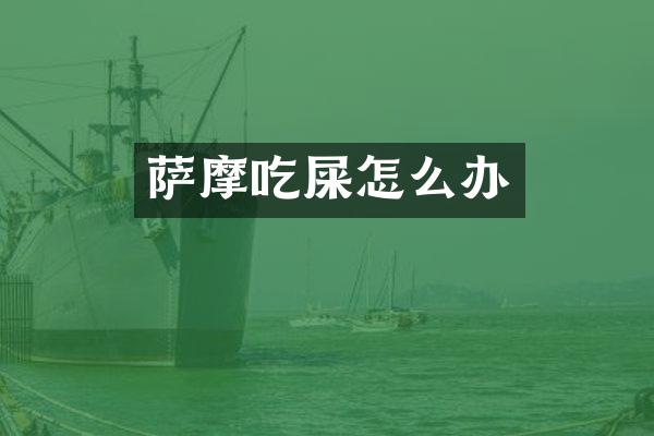 萨摩吃屎怎么办