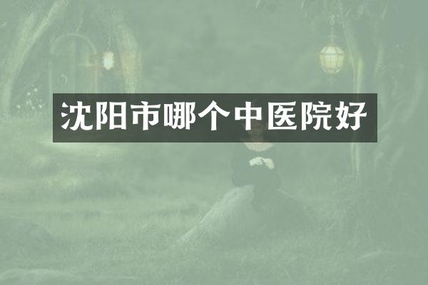 沈阳市哪个中医院好