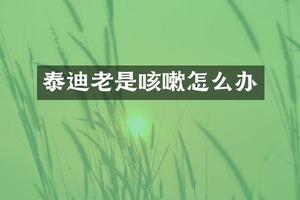 泰迪老是咳嗽怎么办