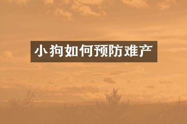 小狗如何预防难产