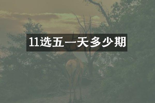 11选五一天多少期