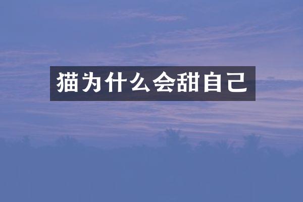 猫为什么会甜自己