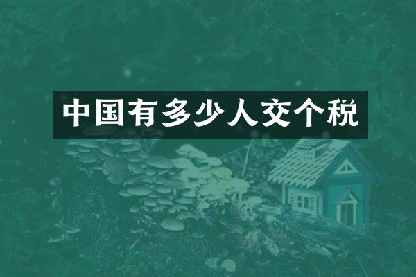 中国有多少个税