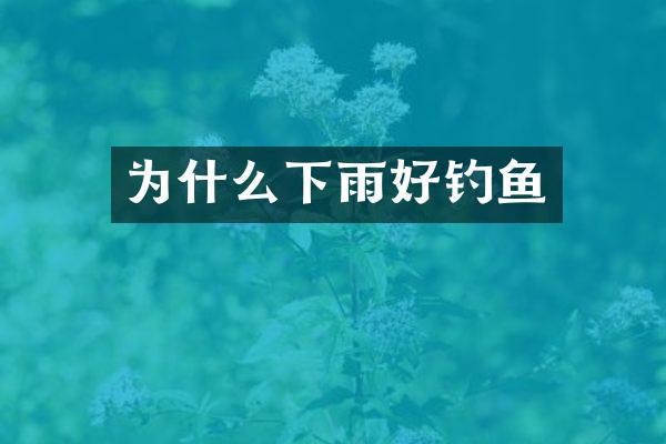 为什么下雨好钓鱼