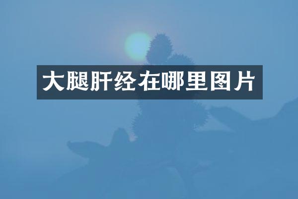 大腿肝经在哪里图片