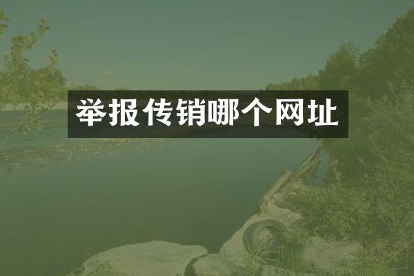 举报传销哪个网址
