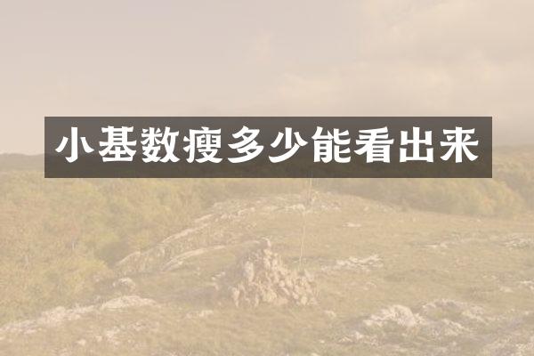 小基数瘦多少能看出来
