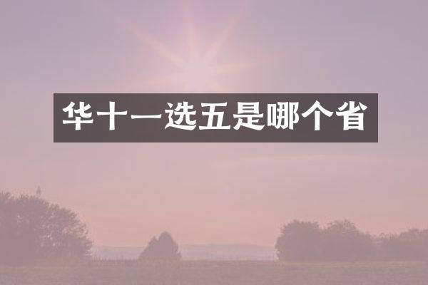 华十一选五是哪个省