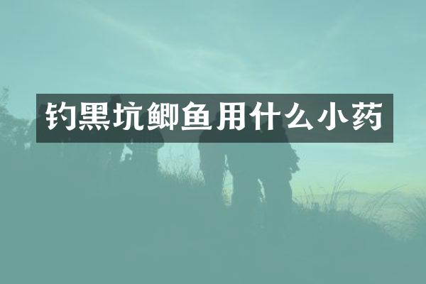 钓黑坑鲫鱼用什么小药