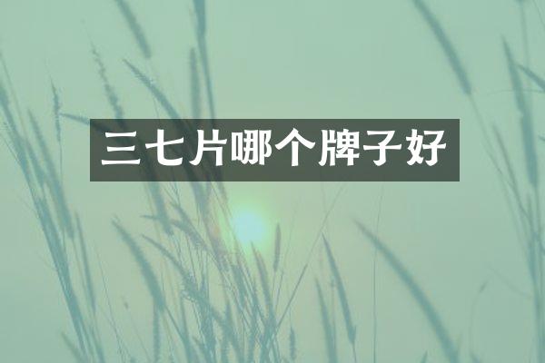 三七片哪个牌子好