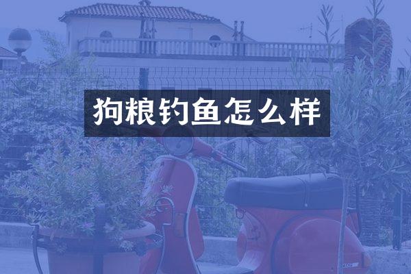 狗粮钓鱼怎么样