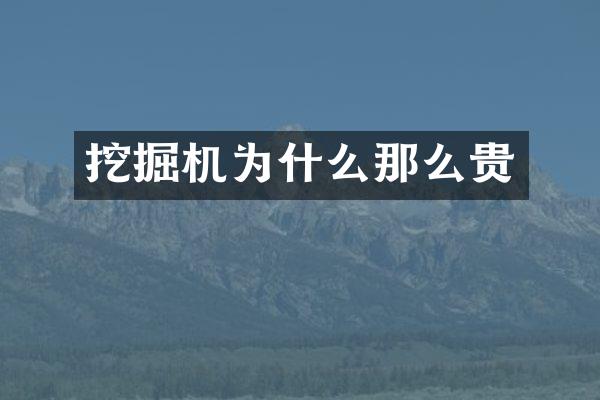 挖掘机为什么那么贵