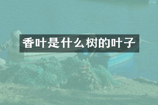香叶是什么树的叶子