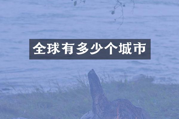 全球有多少个城市