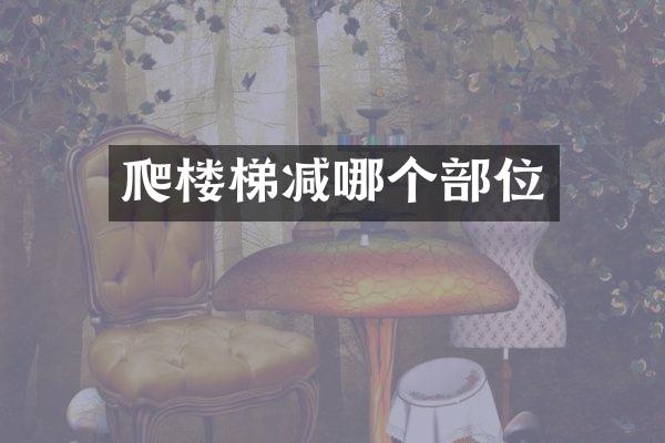 爬楼梯减哪个部位