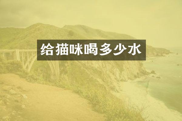 给猫咪喝多少水