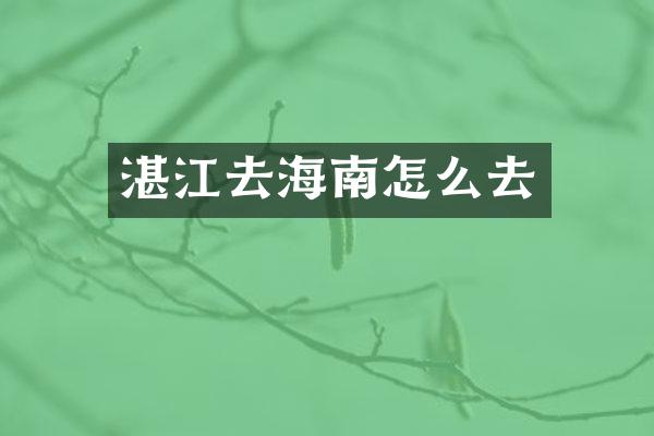 湛江去海南怎么去