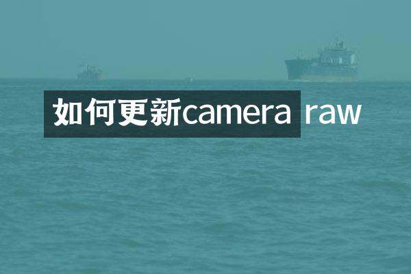 如何更新camera raw