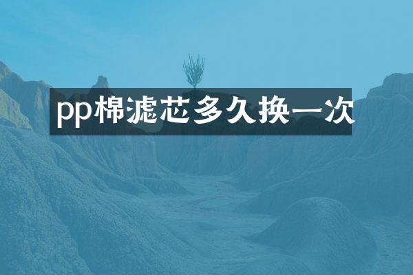 pp棉滤芯多久换一次
