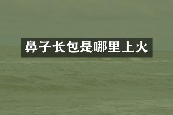 鼻子长包是哪里上火