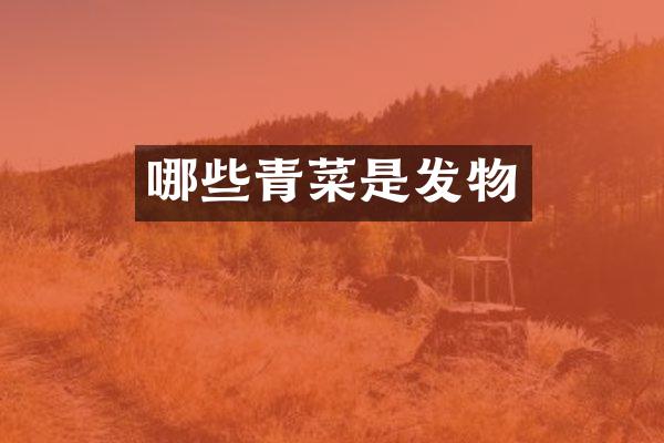 哪些青菜是发物