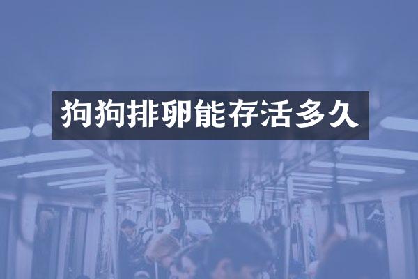 狗狗排卵能存活多久