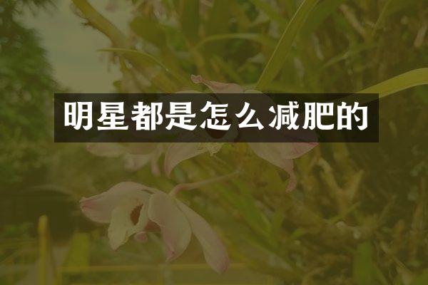 明星都是怎么减肥的