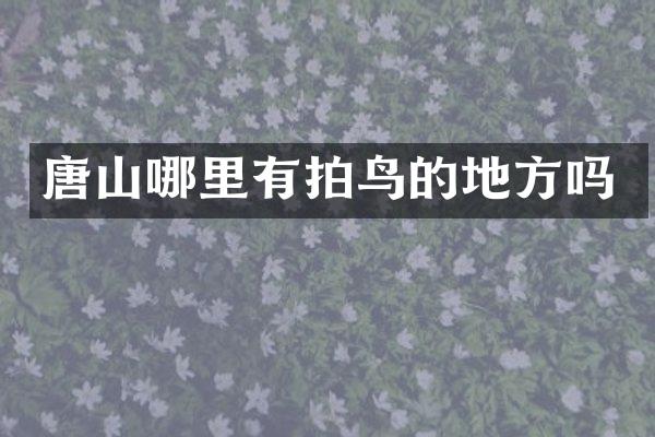 唐山哪里有拍鸟的地方吗