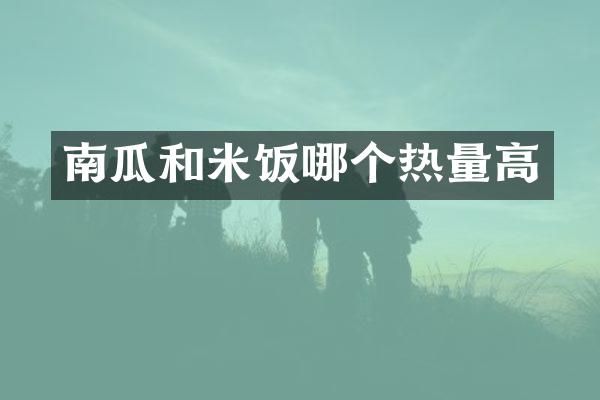 南瓜和米饭哪个热量高