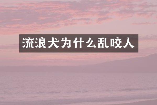 流浪犬为什么乱咬人