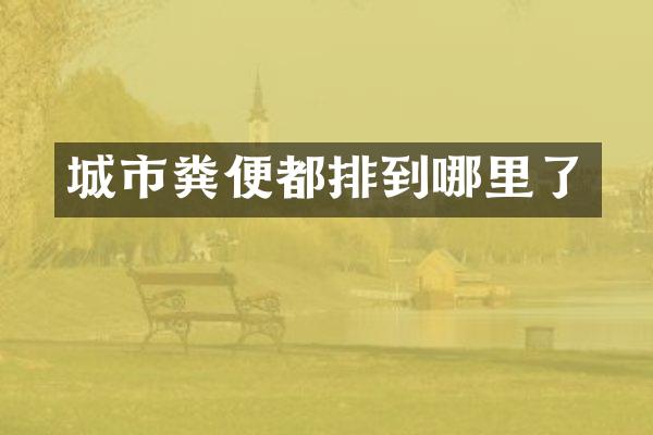 城市粪便都排到哪里了