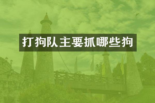 打狗队主要抓哪些狗