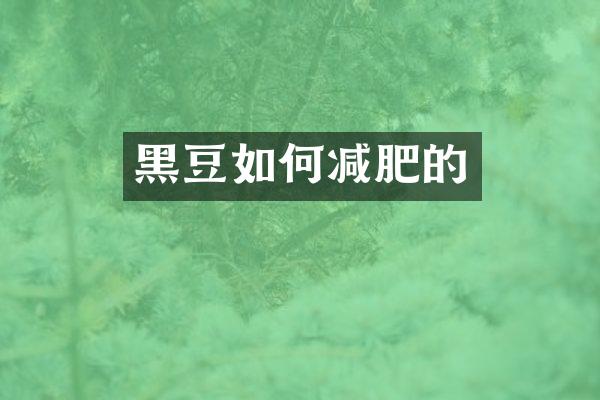 黑豆如何减肥的