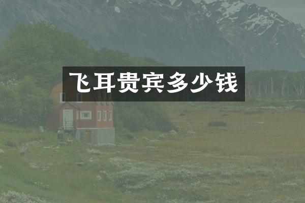 飞耳贵宾多少钱