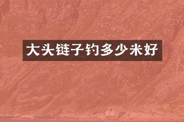 大头链子钓多少米好