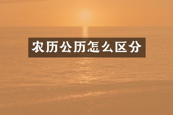 农历公历怎么区分