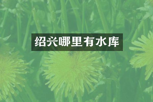 绍兴哪里有水库