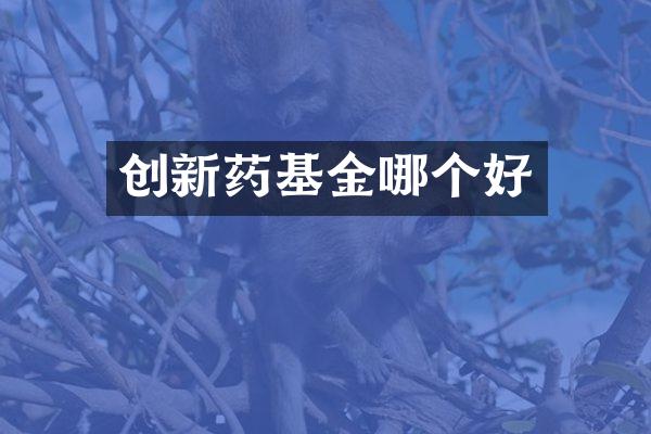 创新药基金哪个好