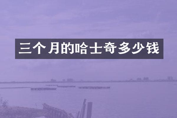 三个月的哈士奇多少钱