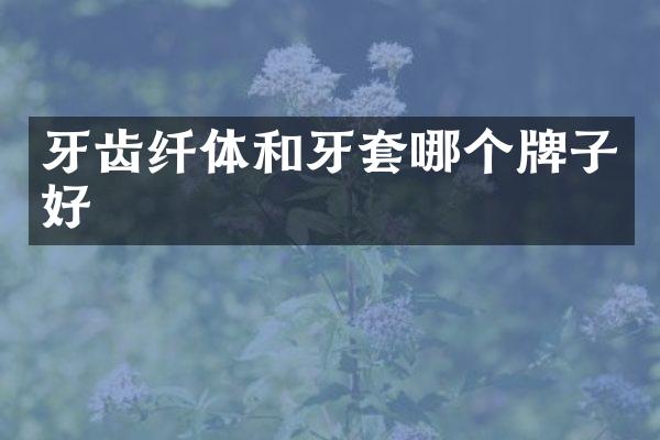 牙齿纤体和牙套哪个牌子好