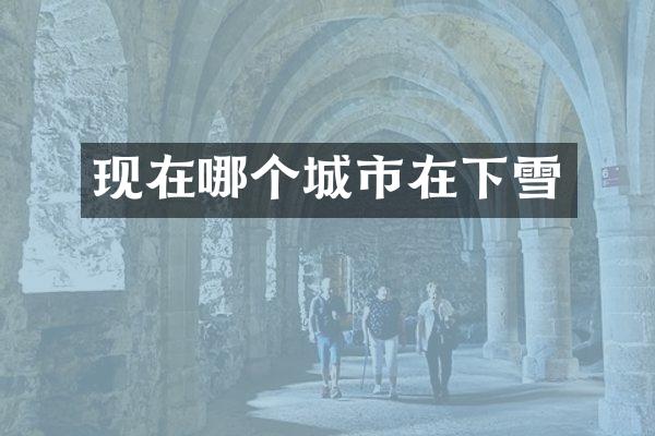 现在哪个城市在下雪