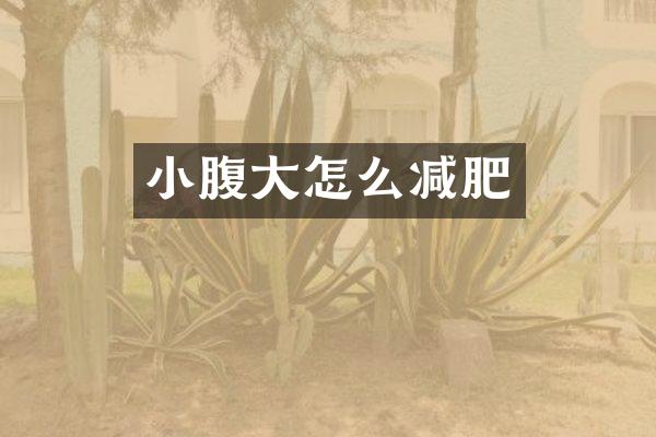小腹大怎么减肥
