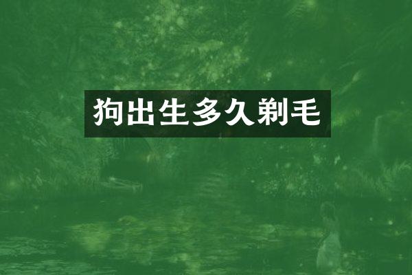 狗出生多久剃毛