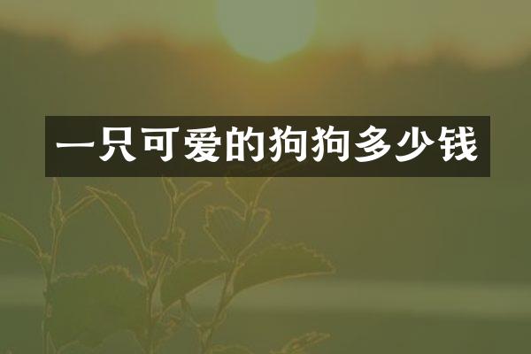 一只可爱的狗狗多少钱
