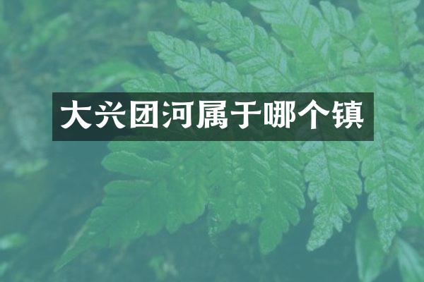 大兴团河属于哪个镇